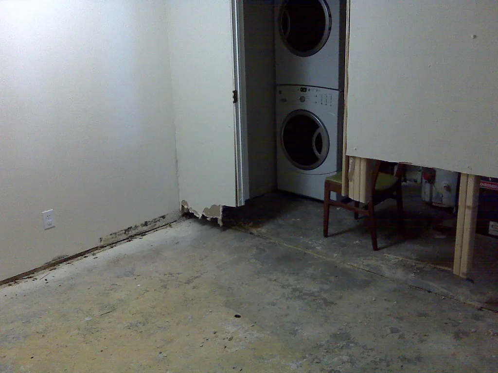 Basement laundry area with water damage at the base of walls