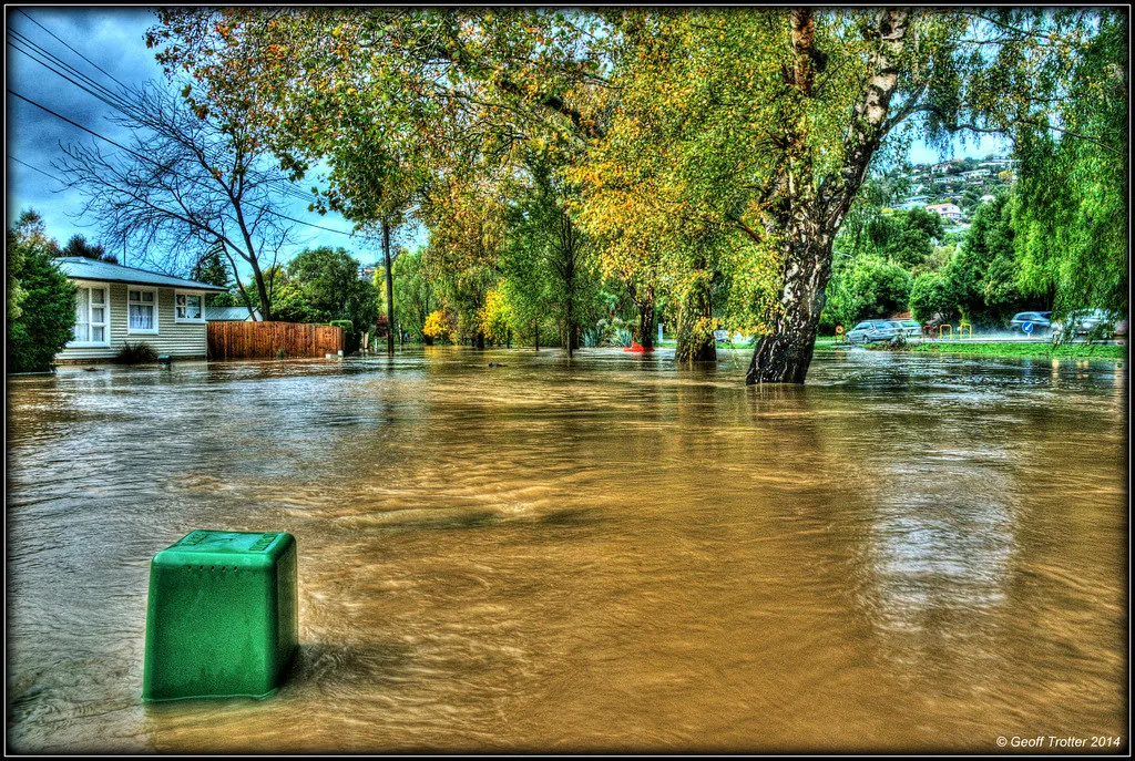 Flooded neighborhood street with murky water