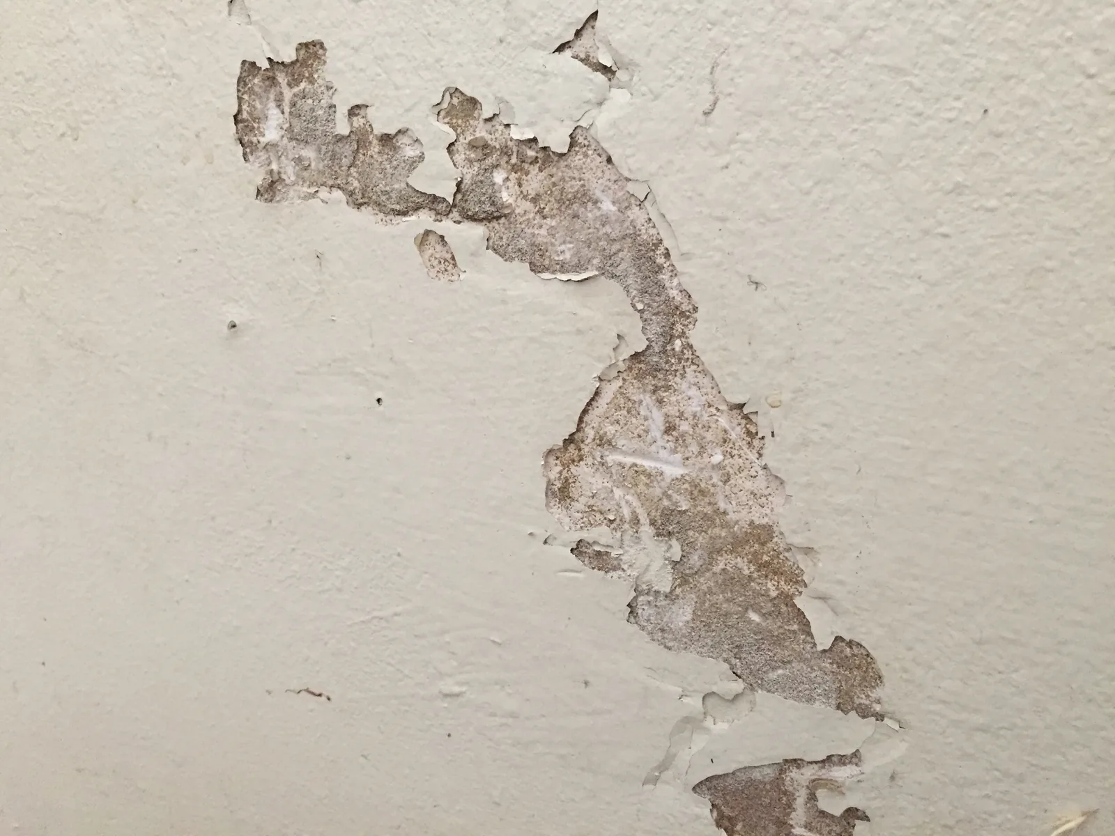 Peeling paint caused by water damage